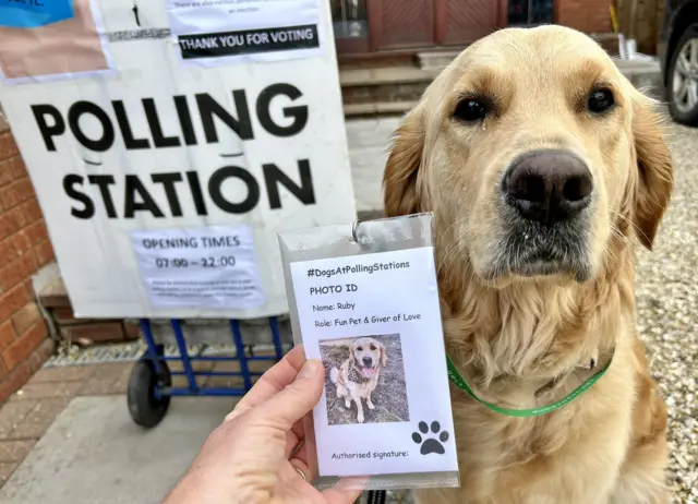 A dog outside a polling station with a homemade photo ID