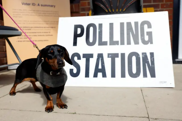 Elsie, a dachshund, looks smart siting by a sign at the Greenwood Park Community centre in St Albans