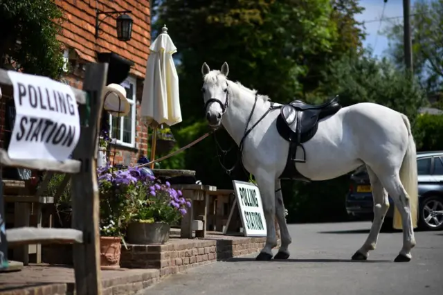 File photo of a horse at a polling station