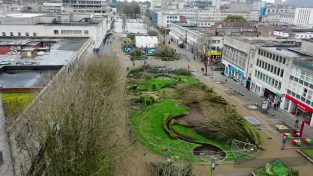 Trees felled in Plymouth city centre