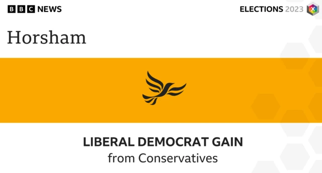 The Liberal Democrats have gained control of Horsham Council, seizing power from the Conservatives.