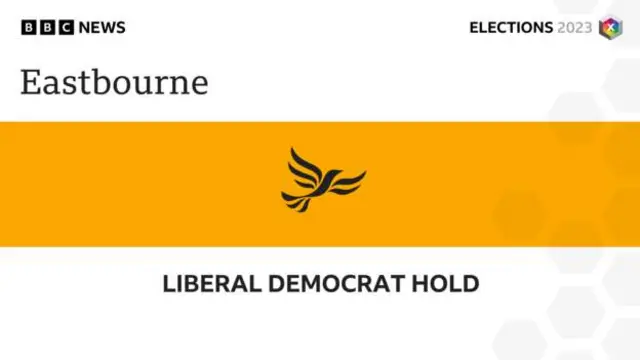Eastbourne Borough Council result