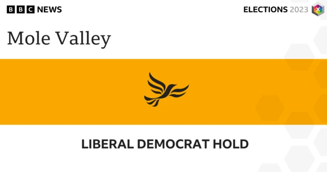 The Liberal Democrats have held Mole Valley District Council in Surrey.