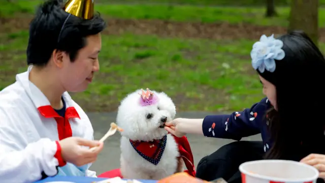 A woman feeds a dog at the Big Lunch in Regent's Park