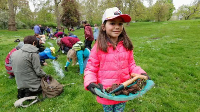 Volunteers - including a young girl in the foreground - undertake planting in Green Park