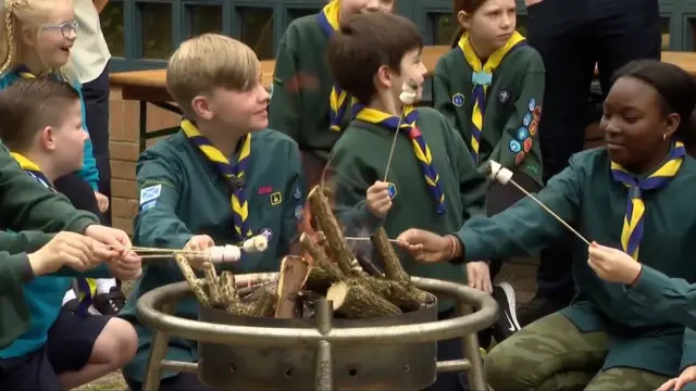 Children roasting marshmallows round a fire