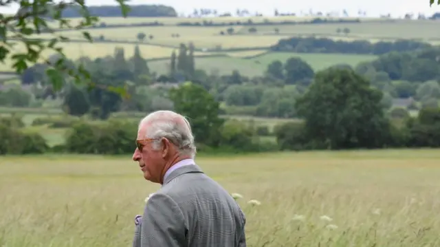 File photo of King Charles III standing in a field