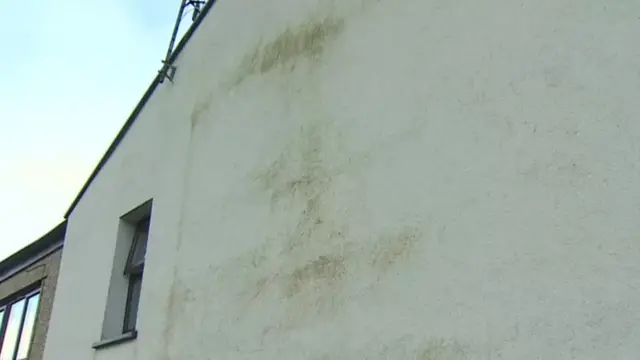 Green marks appeared on the outside of homes