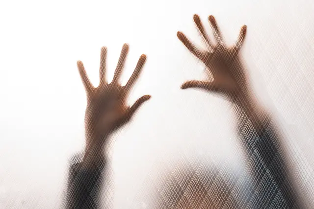 A woman's hands