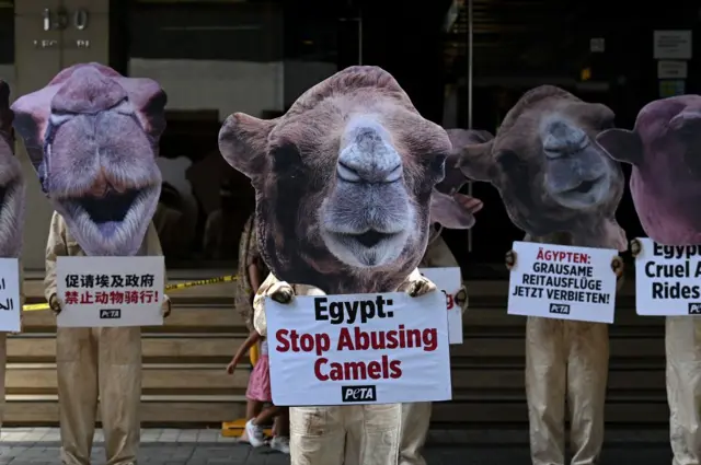 Supporters of People for the Ethical Treatment of Animals (PETA) wearing camel costumes hold a demonstration to urge the Egyptian government to prohibit the use of horses and camels for transporting tourists at the pyramids of Giza, outside the Egyptian Embassy in Manila on June 1, 2023