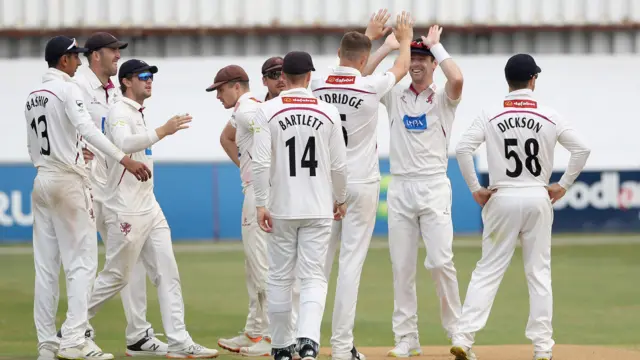 Somerset celebrate taking wicket