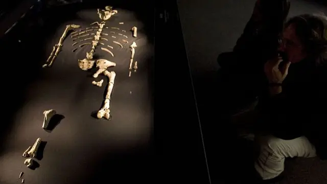 Visitors view the 3.2 million year old fossilized remains of "Lucy", the most complete example of the hominid Australopithecus afarensis, at the Houston Museum of Natural Science, August 28, 2007 in Houston, Texas.