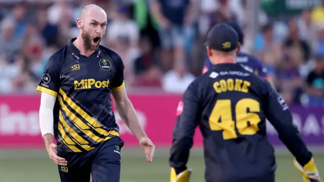 Glamorgan celebrate a wicket against Essex