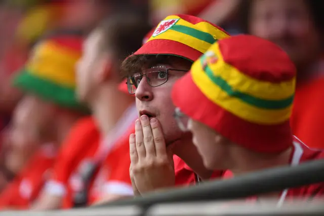 Worried Wales fans