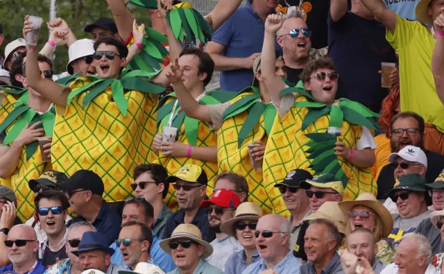 Fans in pineapple fancy dress at Edgbaston during the Ashes