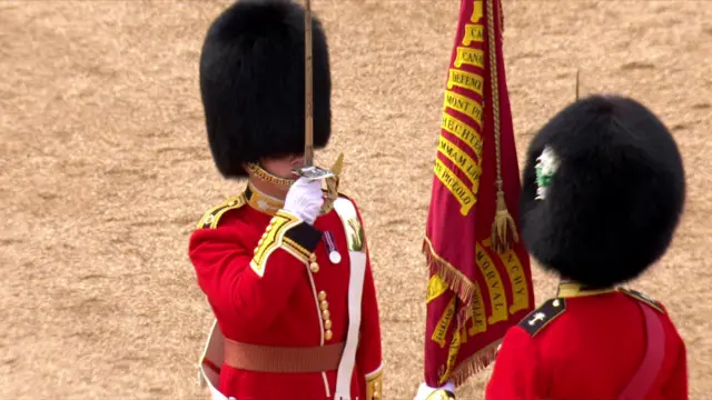 Colour is handed over during Trooping the Colour ceremony