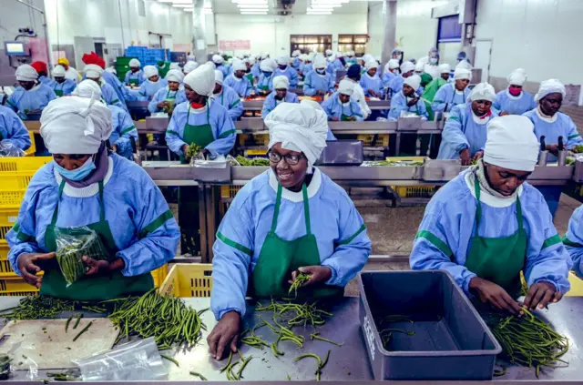 Kenyan produce