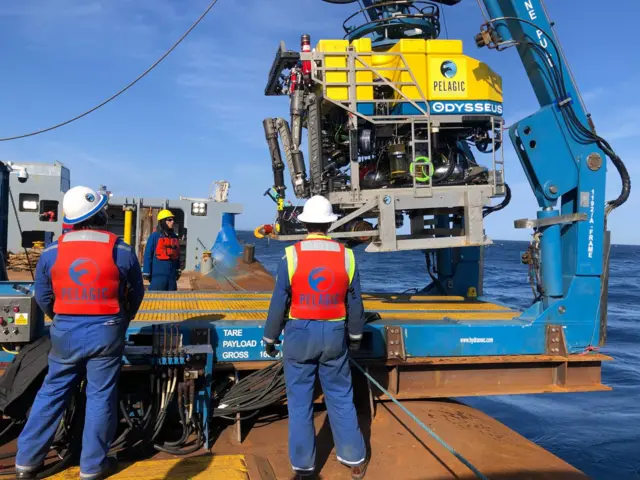 Workers in safety equipment looking at the Pelagic ROV