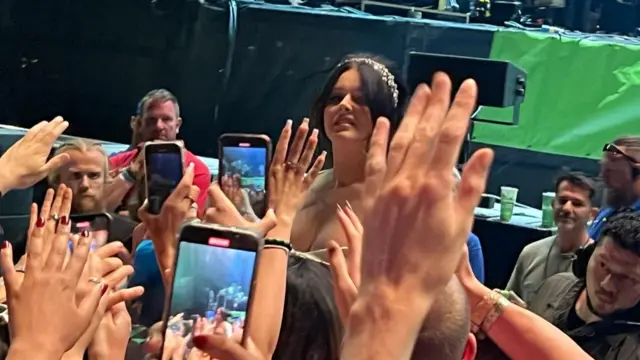 Lana Del Rey joins fans in the crowd