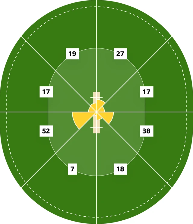 Tammy Beaumont's wagon wheel