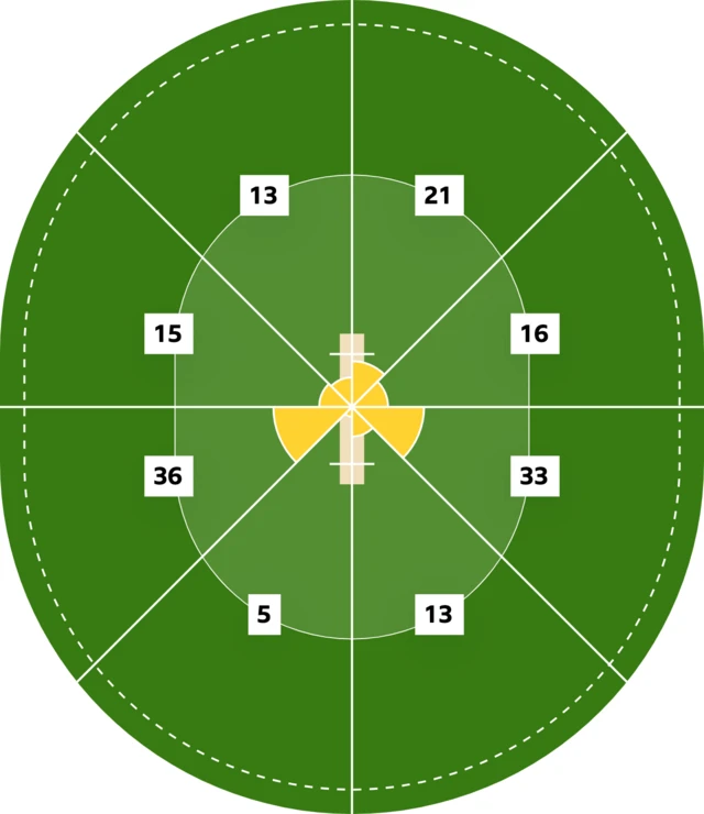 Tammy Beaumont's wagon wheel