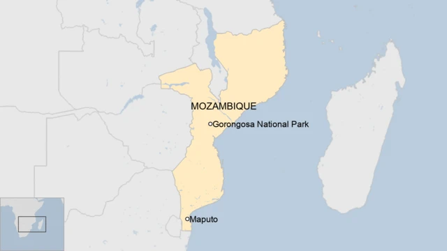 The Gorongosa National Park national park.