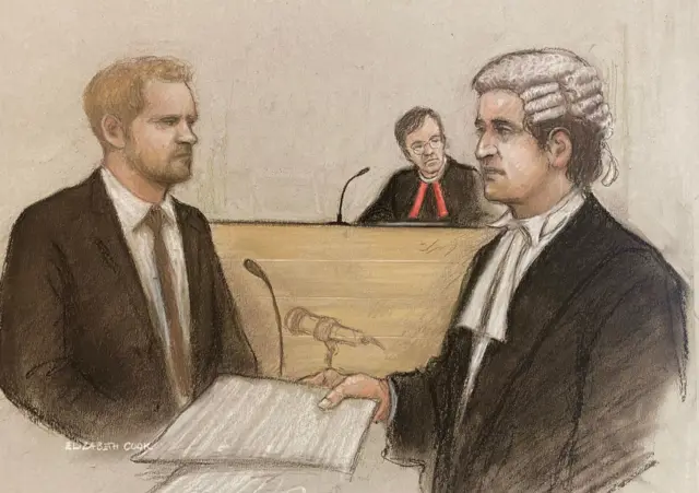 Duke of Sussex, Mr Justice Fancourt and David Sherborne portrayed in court.