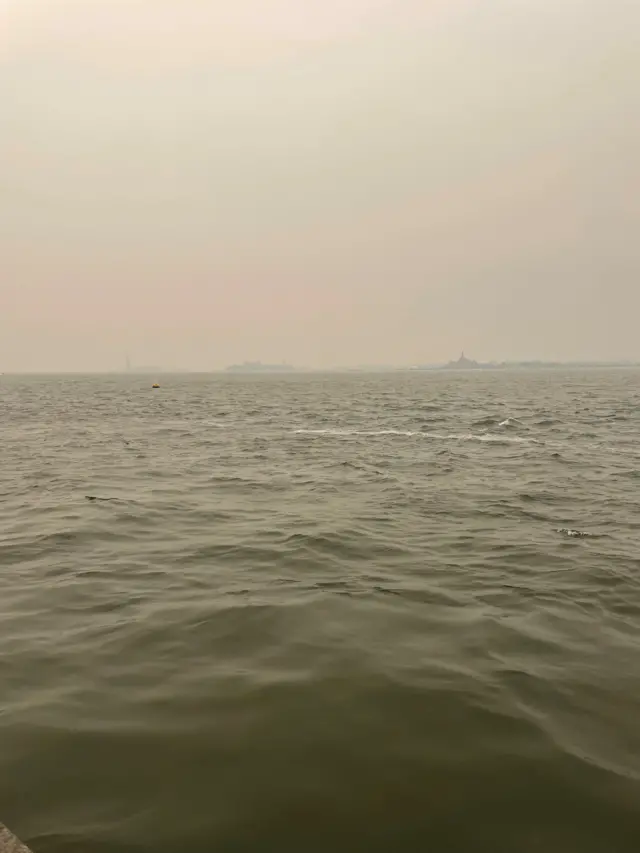 The Statue of Liberty is barely visible in New York City due to the smoke.