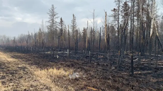 The aftermath of a wildfire in the Canadian province of Alberta