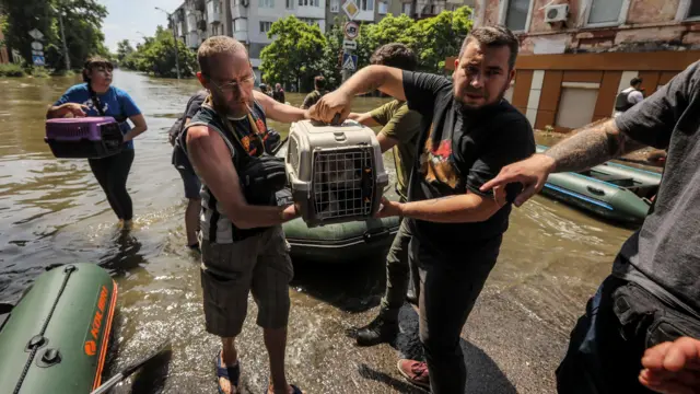 Locals evacuate animals from a flooded area of Kherson, Ukraine