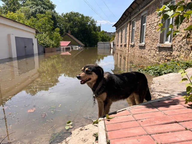 Flooded parts of Kherson