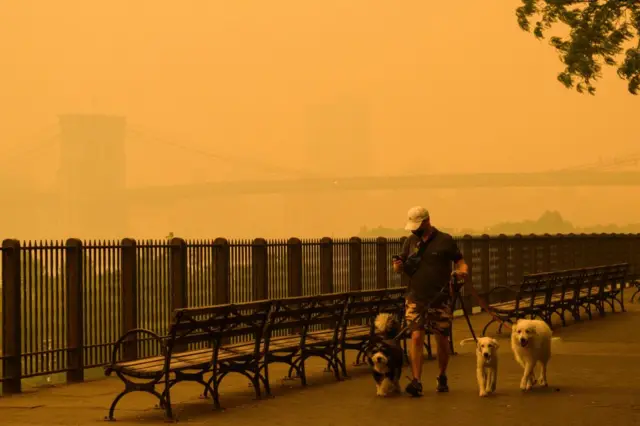 Man walking dog in smoke