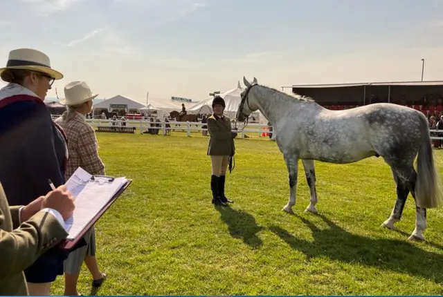 Judging taking place