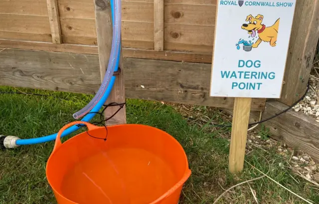 Dog watering station at show