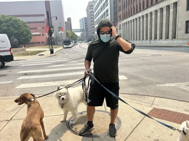 James walks his dogs