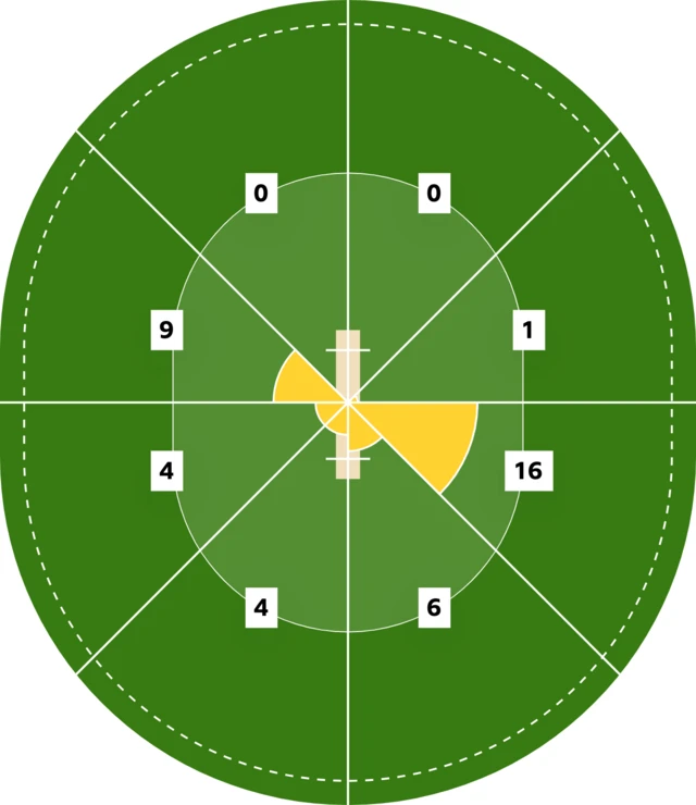 Amy Jones' wagon wheel against Australia