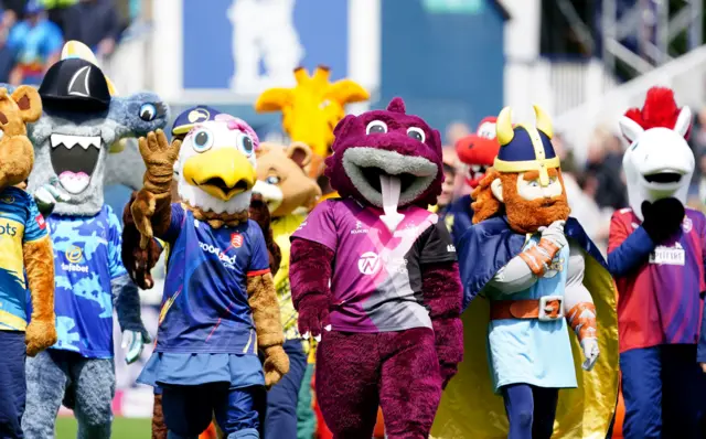 Mascot race