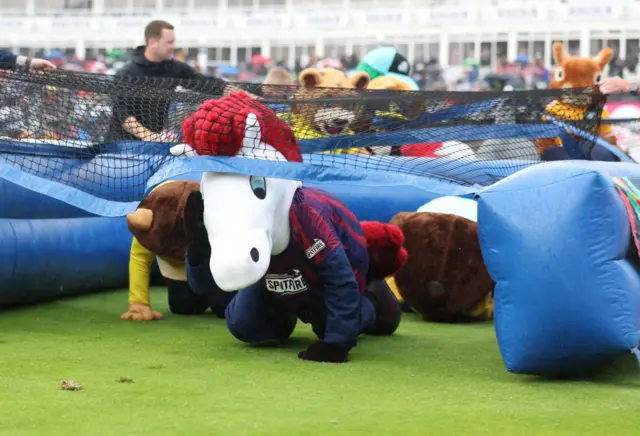 Mascot race at T20 Finals day