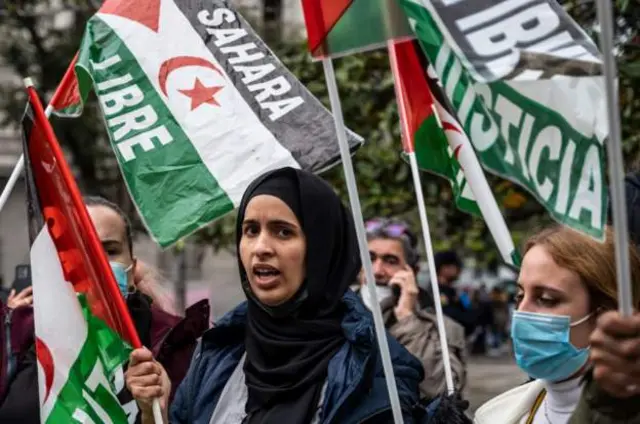 Western Sahara protesters