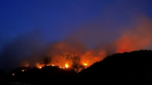 A forest fire burns into the night in Valais