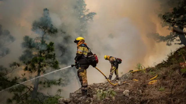 Forest fires in La Palma on 16 July