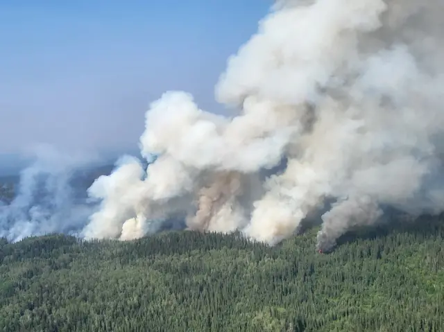 Plumes of smoke rise above a forest