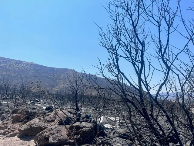 aftermath of fires in Greece