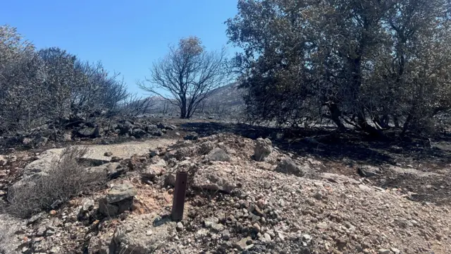 aftermath of fires in Greece