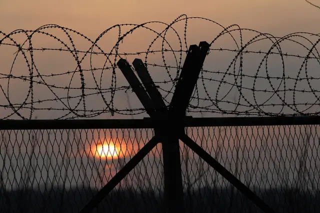 Barbed wire along the DMZ