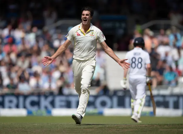 Pat Cummins celebrating the wicket of Harry Brook