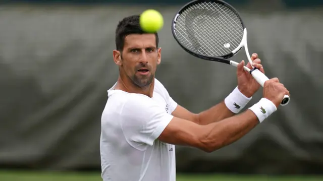 Novak Djokovic plays a backhand