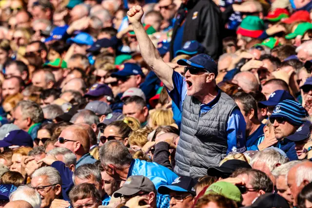 A Dublin fan celebrates during the game