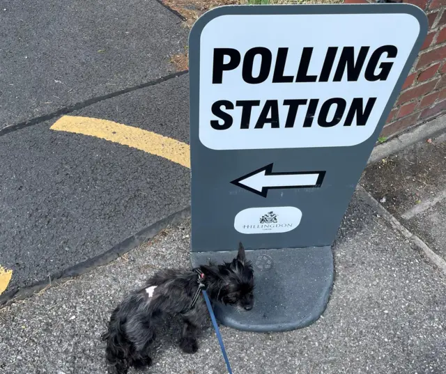 Mitzi, a 10-year-old rescue pup, joined her human at a polling station in Uxbridge, west London, this morning. Mitzi takes her civic duties seriously - she’s been to the polls many times now, her owner tells us.