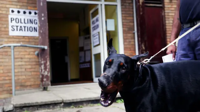 A man waits with his dog outside a polling station in Uxbridge